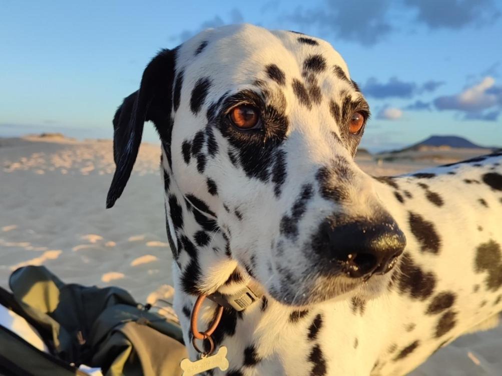 Fuerteventura Casa Tikuna ラ・オリーバ エクステリア 写真